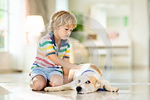 Child playing with dog. Kids play with puppy