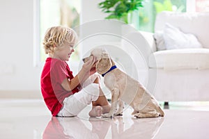 Child playing with dog. Kids play with puppy