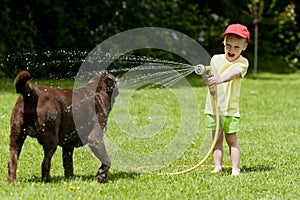 Child Playing Dog Water Cooling