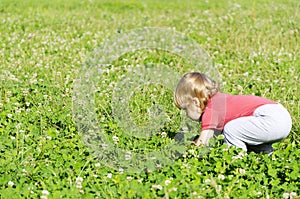 Child playing in the field picking flowers