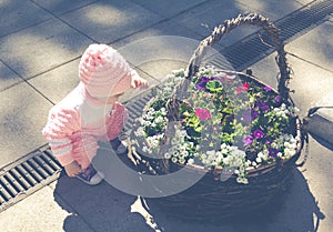 A child is playing in a flower bed