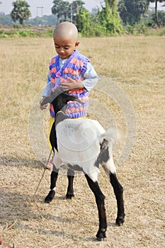 The child is playing with a goat.