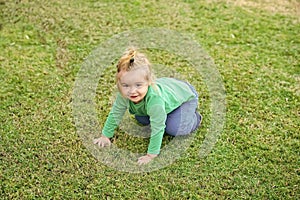 Child is playing on the grass. Baby boy sitting and having fun on meadow grass