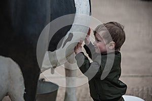 Child playing with life size cow