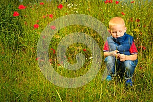 Child playing on meadow examining field flowers