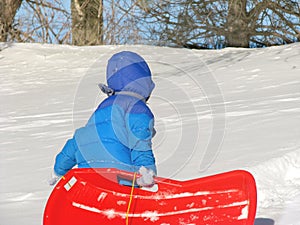 Child playing, walking up along a snowy hill with sled on a frosty winter day. Outdoor fun for family. Winter activity.