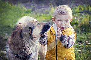 The child plays with the animal in nature.