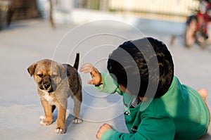 A child plays with cute dog puppy. happy moment