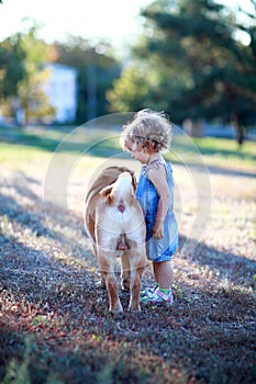 Child plays with a dog