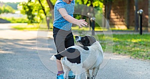 A child plays with a small dog in the park. Selective focus.