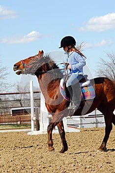 Child and pony