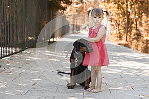 child posing with beautiful doberman puppy outdoors