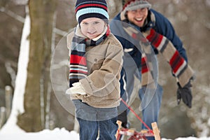 Child Pulling Sledge Through Winter Landscape