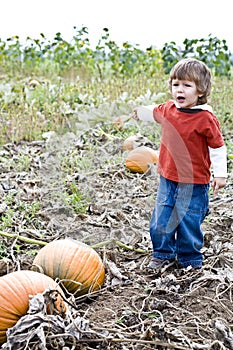 Child in a Pumpkin patch