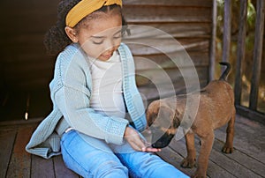 Child, puppy dog and smell hand for trust, friendship and love of new, domestic animal adoption and child development