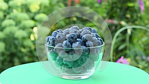 A child puts blueberries one by one into a glass bowl against the backdrop of a blooming garden. Side view.