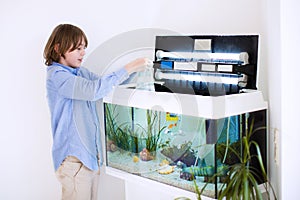 Child putting new fish in an aquarium