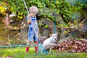 Child and rake in autumn garden. Kid raking leaves