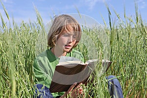 Child reading book or bible outdoors.