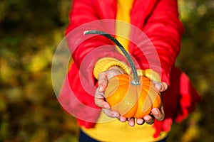 A child in a red jacket and a yellow sweater holds a decorative real pumpkin in his hands. Autumn mood, dry fallen leaves,