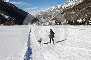 A child with red snowshoes and poles and a dog walking in a snow