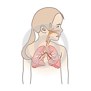 Child Respiratory Scheme