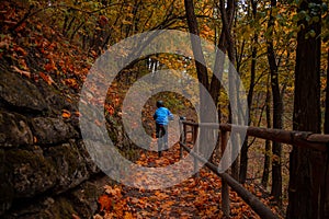 Child ride bike back to camera in country side October landscaped park land, weekend life style concept photo