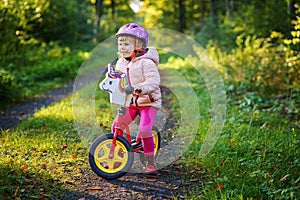 Child riding balance bike. Kids on bicycle in sunny forest. Little girl enjoying to ride glider bike on warm day