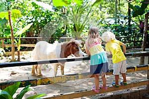 Child riding horse. Kids ride pony