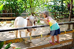 Child riding horse. Kids ride pony