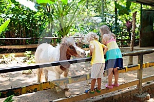 Child riding horse. Kids ride pony