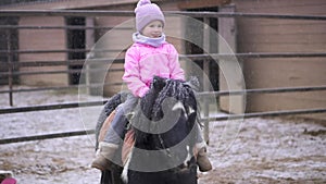 Child is riding pony. Girl rider brown horse. Kid on farm with a pet