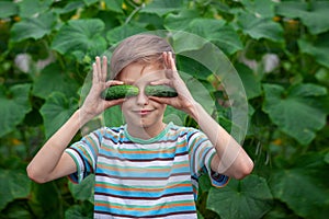 Child with ripe red tomatoes in the greenhouse. Concept healthy eating vegetables for kids