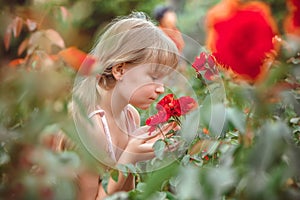 Child with rose flower in spring garden