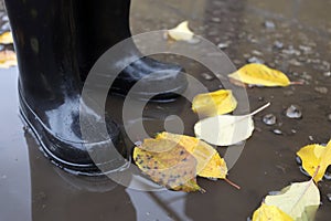 child in rubber boots in autumn puddle after rain with yellow leaves