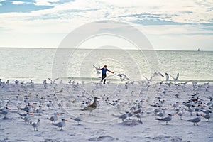 Child run on Beach. Happy childhood. Child chasing birds near beach on summer day. Child and seagull on sea. Excited