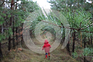 Child run in the forest