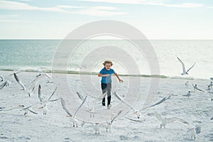 Child run on the seagulls on the beach, summer time. Cute little boy chasing birds near sea on summer day.