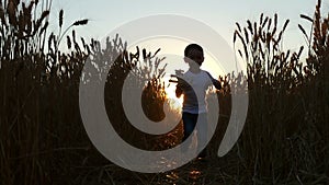 The child runs along the wheat field during sunset, holding a toy plane in his hands. Silhouette of a child. The boy