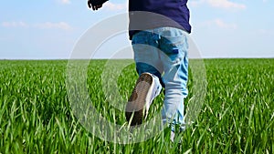 The child runs away on the green grass. Feet of a little boy close-up.