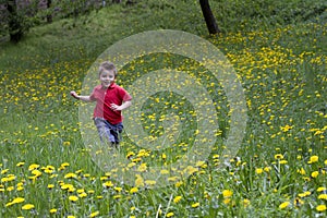 Child runs in a garden of flowers