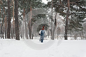 Child runs towards big snow fir trees. Boy plays outdoors in winter forest. Back view