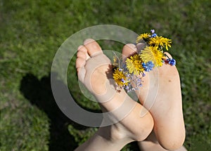 child's bare feet lie on bright juicy green grass. small wreath of yellow flowering dandelions between toes