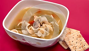 Child's Bowl of Soup