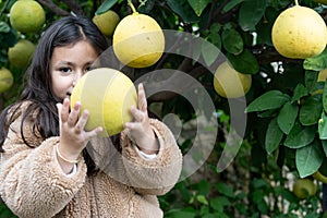 Child's Delight In Giant Pomelo Discovery.