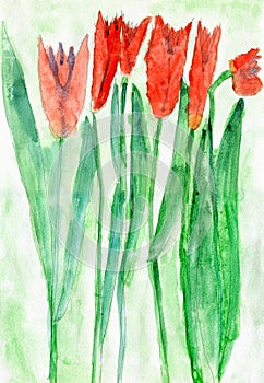 Child's Drawing of Red Tulip Flowers, Watercolor