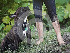 Child`s foots in the mud. Dog