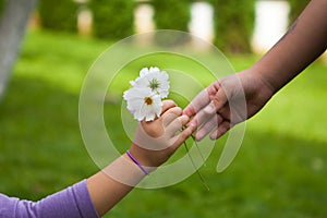 Child's hand giving flowers to her friend