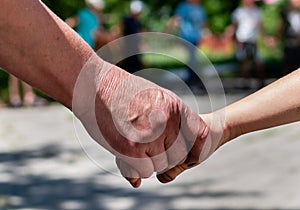 Child& x27;s hand in hand of elderly woman in sunlight