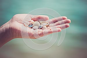 Child& x27;s hand holding shells isolated, shells in the background, beach